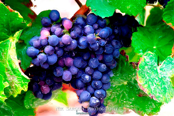pinot noir @ Verzenay lighthouse