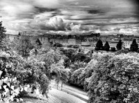 Princes Street Gardens, Edinburgh