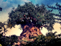 The Tree of Life