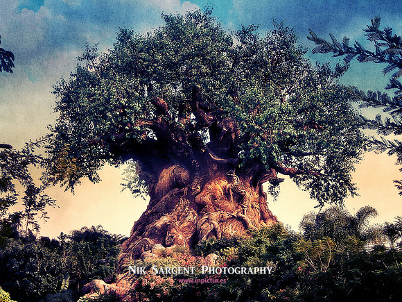 The Tree of Life
