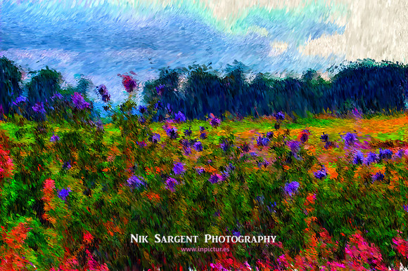 In Monet's Thistle Garden